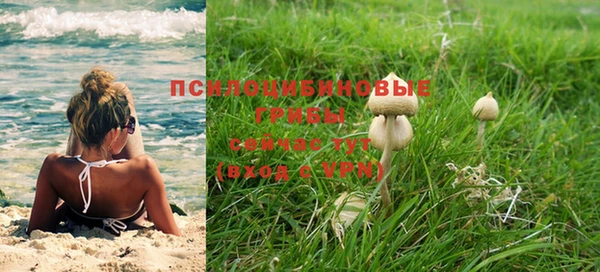 спиды Армянск